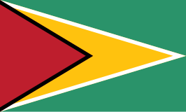 ? Vlag van Guyana