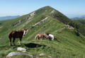 Monte Frontè from cima Garlenda (Liguria)