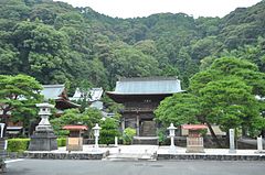 臨済寺から見た賤機山城（背後の山上）