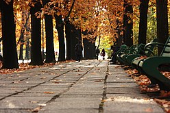 Il parco Herăstrău in autunno