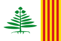 Bandera de Teyá