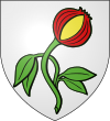 Blason