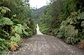 File:Carretera Austral.jpg