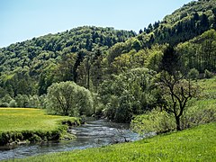 Wiesent bei Streitberg