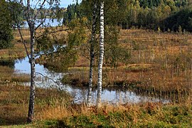 Vaskna järv