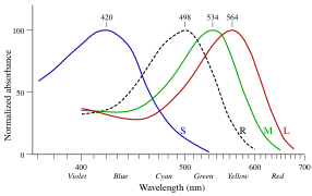 Zones de sensibilité des cônes (S "bleu", M "vert" et L "rouge") et des bâtonnets (R) chez l'être humain, suivant les longueurs d'onde (en nm) de la lumière.