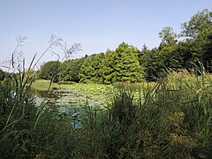 Le parc des Gayeulles