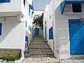 Ruelle de Sidi Bou Saïd.