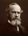 William James (1842–1910)