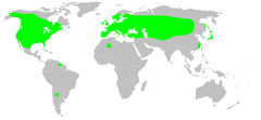 Mapa występowania