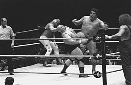 André the Giant met King Kong Bundy