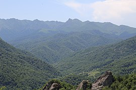 Qamış vadisi