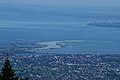 Rheinmündung in den Bodensee (bei Hard)