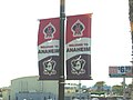 Ducks and Angels street banners