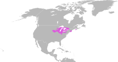 Área de distribuição da tartaruga-de-Blanding