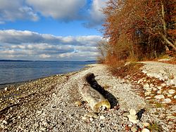 63. Platz: Boschfoto mit Ufer des Ammersees im Landschaftsschutzgebiet „Ammersee-West“ bei Wartaweil