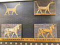 Passing animals, brick panels from the Procession Way which ran from the Marduk temple to the Ishtar Gate and the Akitu Temple, Istanbul Archaeology Museums, Istanbul.