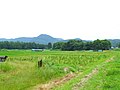 Rice field of Kumagane 熊ヶ根の田