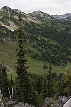 Mount Rainier National Park