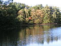 Naturschutzgebiet Ahlhorner Fischteiche