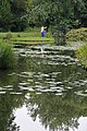 Cottbus, Brandenburg: Branitzer Park