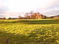 Image 25The banks of Brocavum Roman fort in the foreground; Brougham Castle is in the background (from History of Cumbria)