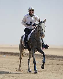 Dans un désert, un homme monte un cheval gris, vu de face.