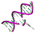 Thumbnail for Genetically modified food