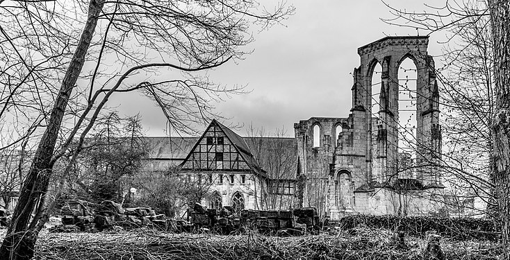 Kloster Walkenried – Blick von Osten auf die Klosteranlage mit der Ruine der Klosterkirche (rechts) und dem Klausurgebäude (links)