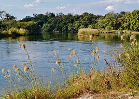 Okavango upė Namibijoje