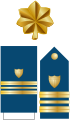 Distintivo per paramano dell'uniforme ordinaria invernale, controspallina estiva e fregio da colletto della US Coast Guard.