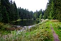 Oberharzer Wasserregal - Entensumpf pond