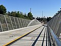 Blumenauer Bridge