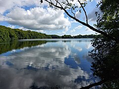 Gyllebo-See in Österlen (Skåne)