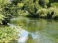 L'Eure à Marcilly-sur-Eure