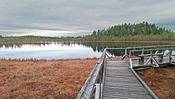 Esteetön reitti lammen rannassa