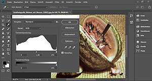 Adobe Photoshop CC na Windoswsu