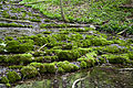 #9 Sinterterrassen im Heinrichsgraben im „Naturpark Altmühltal“