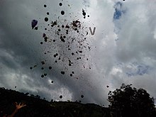 Biruda (soaked grains and beans) being flung up in the air on the final day of the festival. The devotees catch the grains as a prasad.