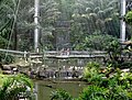 Bird Park's Interior