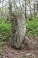 Menhir de Kergoulouët.