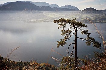 Traunsee mit Höllengebirge