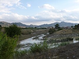 Desembocadura Guadalentín