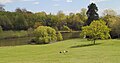 Westerham (Kent), England: Chartwell House, Privathaus von Winston Churchill