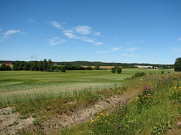 Peltoa Viinikkalassa.