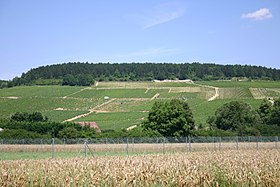 Image illustrative de l’article Vignoble de Chablis