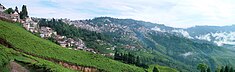 Ing Darjeeling, a ababation manibat king Happy Valley Tea Estate