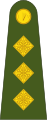 Captaen Irish Army