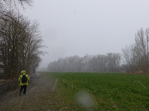 A sharp wind is blowing sleet - tiny ice pellets mixed with snow - into our face.