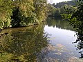 Confluent de la Soloire avec la Charente.